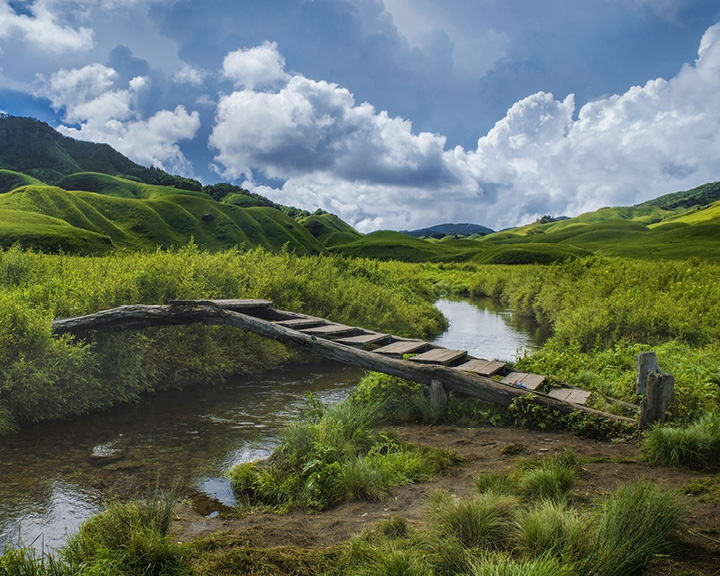 DZUKOU VALLEY & JAPFU PEAK TREK